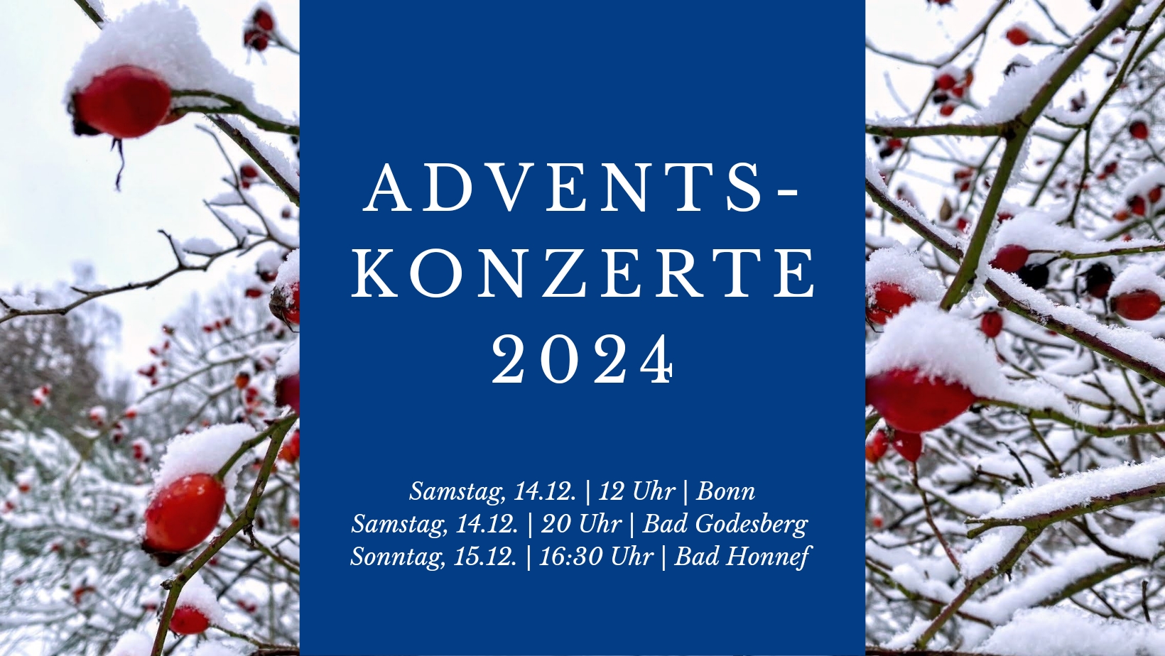 Adventskonzerte 2024